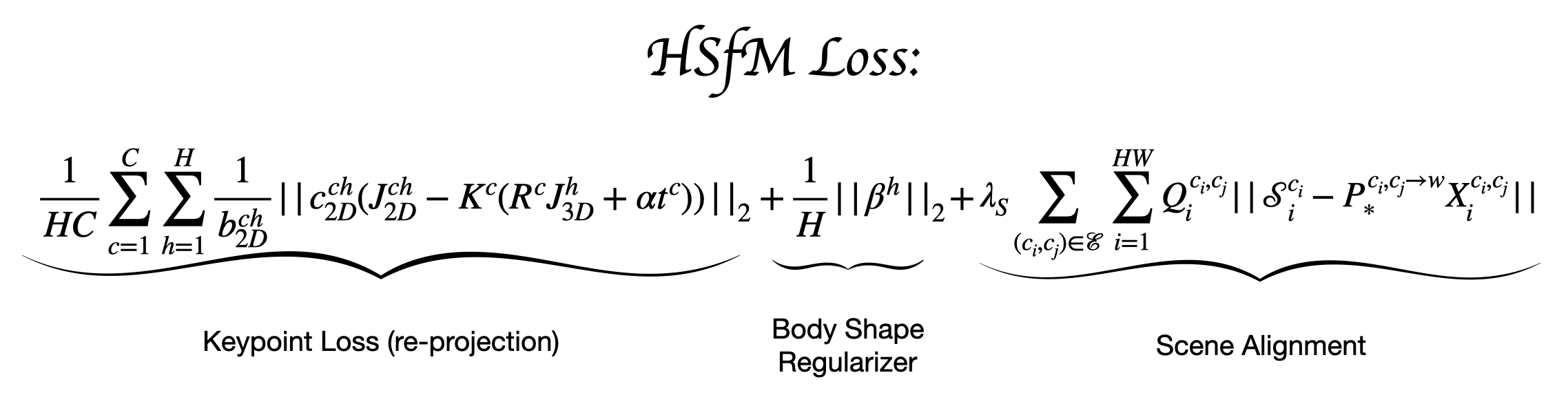 HSfM Loss